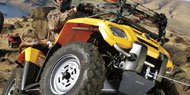 Features to Expect in ATV Winches