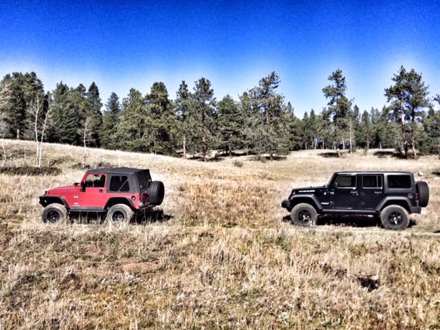 Jeeps in the woods