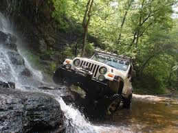 Jeep Wrangler in the Forest