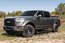 Ford F-150 sporting AMP Research PowerStep XTreme Running Board