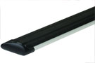 Rampage Patriot Running Board in anodized silver finish