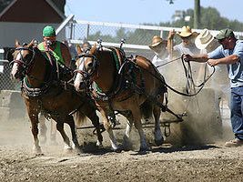 The original measurements for horsepower were based on the amount of weight a real horse could pull.