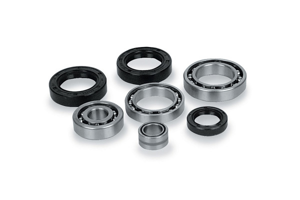Fits Yamaha YFB250U Timberwolf ATV Bearings /& Seals Kit Rear Differential 96-98