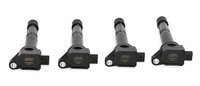 accel Direct Ignition Coil Set