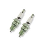 accel Platinum Spark Plug