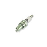 accel Platinum Spark Plug