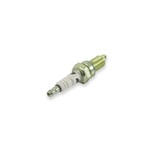 accel Platinum Spark Plug