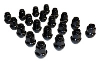 Crown Wheel Lug Nut Kit