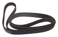 Crown® 53002900 Serpentine Belt