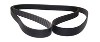 Crown® 53010283 Serpentine Belt