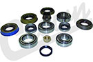 Pinion bearings, differential bearings, pinion seal, axle seals and pinion nut