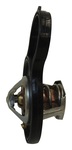 Crown Thermostat