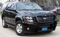 Frontier Truck Gear Grille Guard