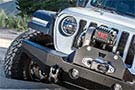 Warn® 100635 Epic Sidewinder Assembly (Gunmetal)