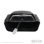 Westin R5 Nerf Step Bar LED Light Kit